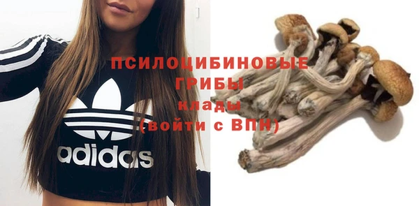 наркотики Заводоуковск