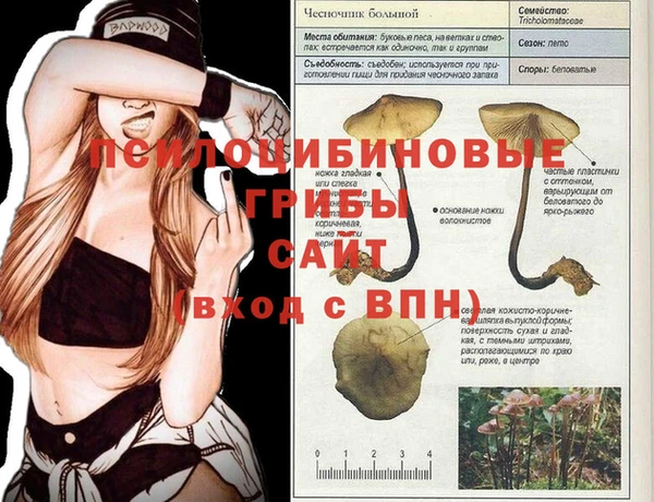 кокс Заволжск