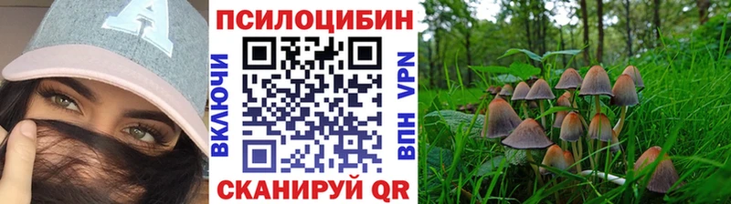 Галлюциногенные грибы прущие грибы  Купить закладки  Канск 